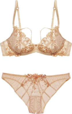 transparent-lingerie: l’agent by agent provocateur “lusina” bra and panties 🌹