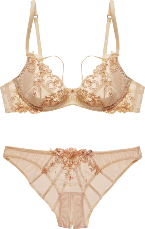 transparent-lingerie: l’agent by agent provocateur “lusina” bra and panties
