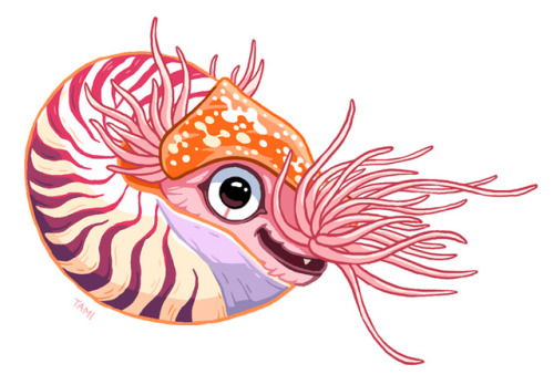 Weird nautilus dragon creature doodle :P