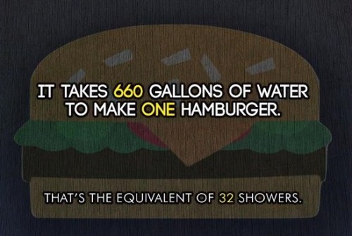 america-wakiewakie:Watch the Film “Cowspiracy” and Find More Facts Here