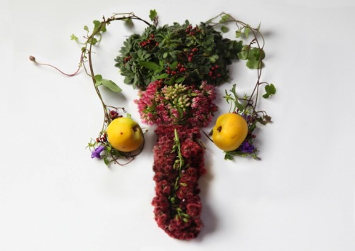  Human Organs Formed with Wild Plant Arrangements by Camila Carlow  UK-based, Guatemalan-born artist Camila Carlow was not deterred by the complexity of the human body when she was developing her series Eye Heart Spleen. For the project, she transformed