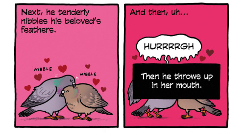 birdandmoon:This week at YourWildCity.com: some romance tips. Support us on PatreonWhen the phra