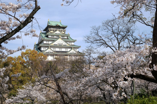 EB expressed that is a view straight into heaven! Someday I want to show her Night Himeji Castle wit