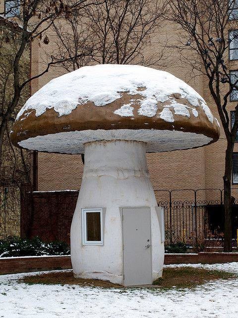 bad-moodboard: Mushroom House, Toronoto, Katie Bethune-Leaman