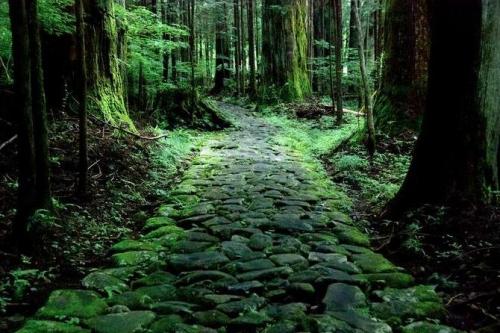 sweetd3lights:By Kenta Horiuchi