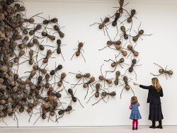 asylum-art:  The Invasive Art of Rafael Gómezbarros Since 2007, sculptor Rafael Gómezbarros has brought his invasive swarm of giant ants to public buildings of his native Columbia. Titled “Casa Tomada”, (Seized House), the ants represent the displacement