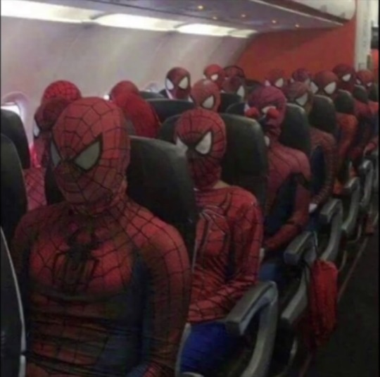 cooldudethecoolest: Spiderman into the Spiderverse (2018) 