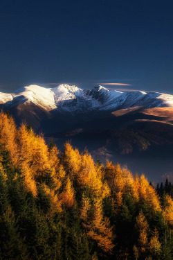 favorite-season:  Autumn in Fagaras mountains by  Cezar Machidon  