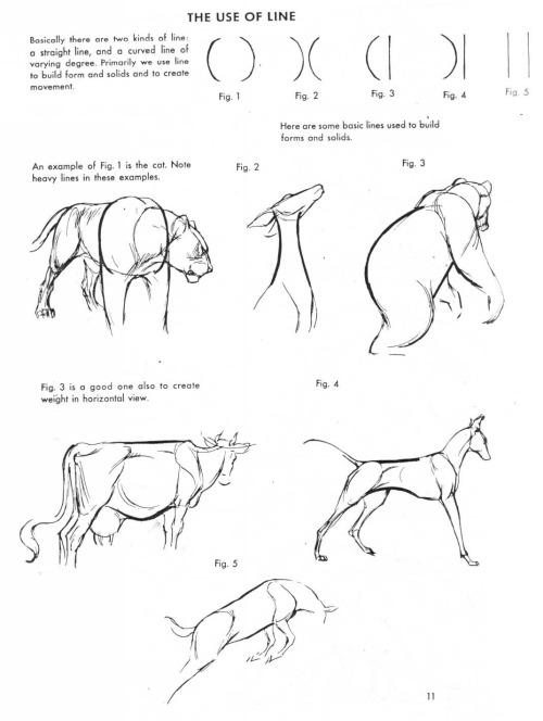 If You Love Animals Or Drawing Then You Should Add This Book To Your Collection. The Art Of Animal Drawing