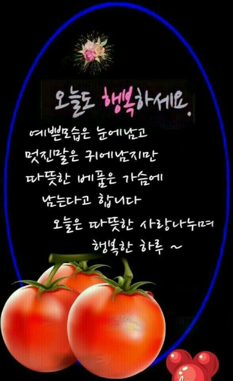 ltk7447606891: 카카오톡 좋은글과 사진들