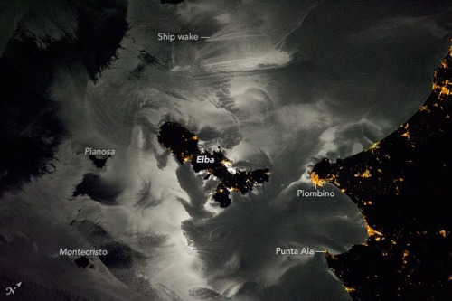 Moonlight, playing over the Middle SeaThe views of our globe from space are always stunning, accordi