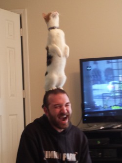 unimpressedcats:  My husband looks like he’s