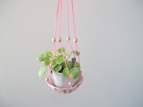 flowaei:indie (✿◠‿◠)