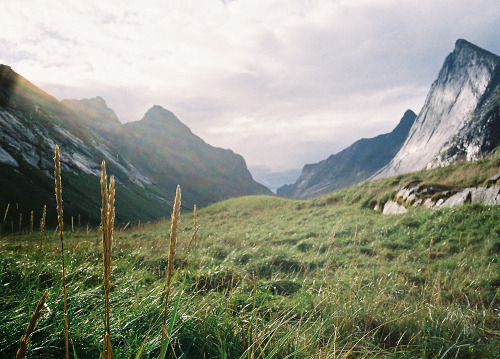 pixie-witch:  the—dragons—breath:  melepeta:  (by manuel tanner)   Xx