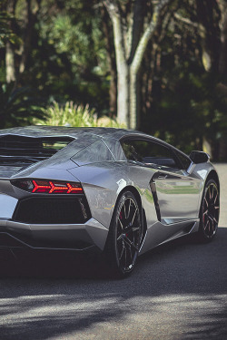 auerr:  Lamborghini Aventador 