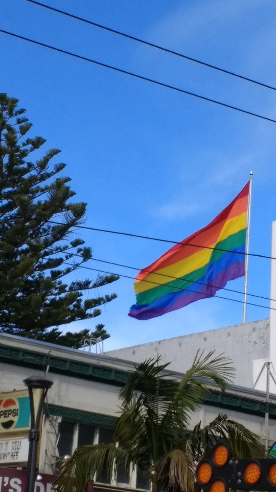 Sharing For Pride Month✨
