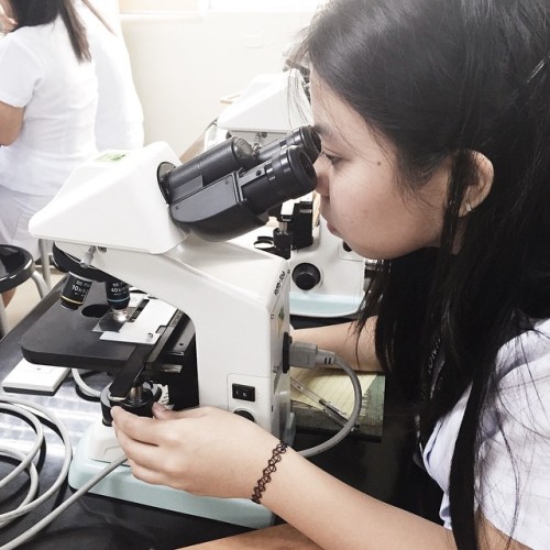 Histology