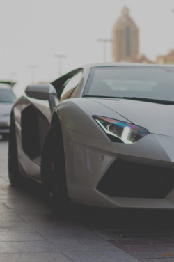 h0tvisuals:  Aventador  Hell yeah