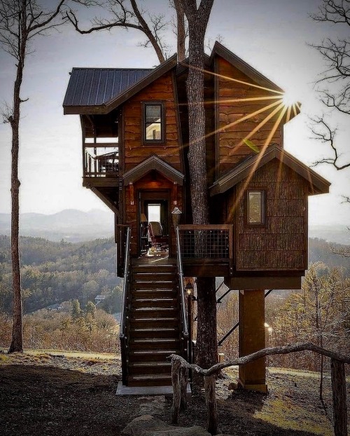 utwo:  Treehouse / Cabin© treehousesgallery