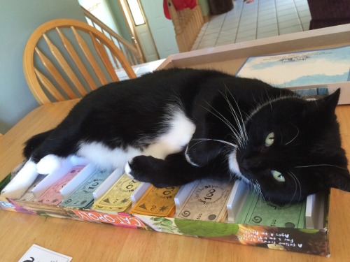 drakes-eyebrows: Tenshi decided to be the banker while we played cat-opoly