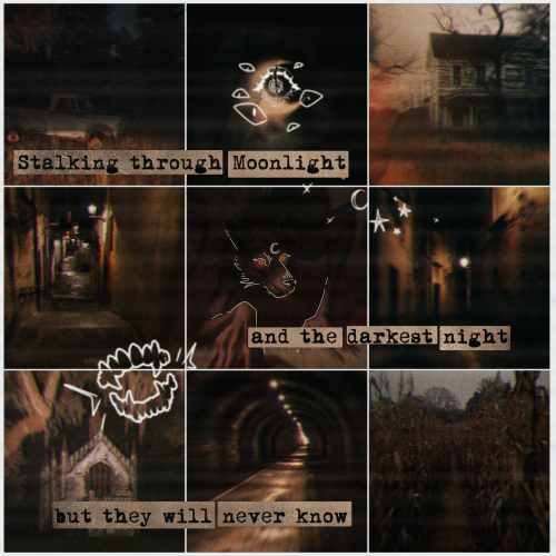 A Werewolf Moodboard W/an American Gothic//Midwest Gothic Aesthetic And Maybe A General Vibe Of Empty-street