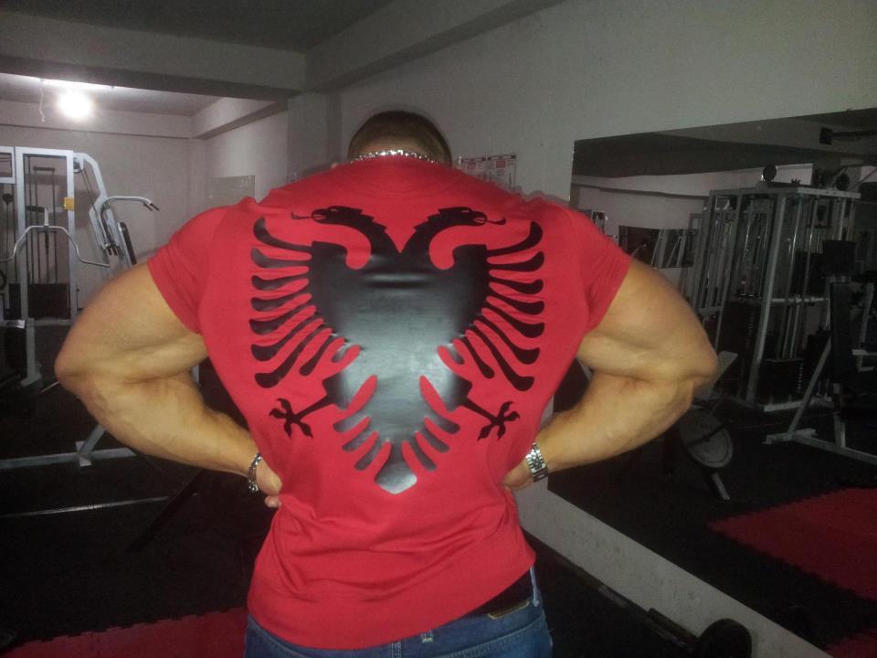 MUSCLE