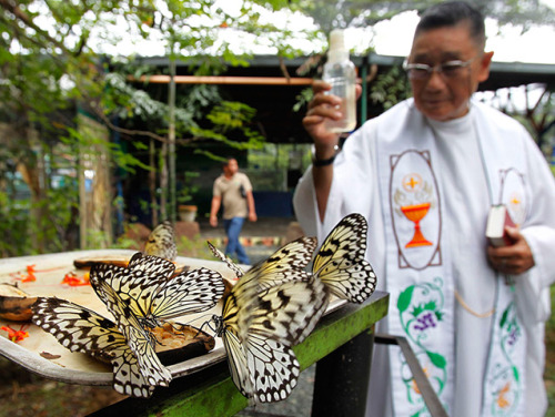 unearthedviews:Malabon, Philippines: A Catholic priest sprinkles holy water to bless butterflies as 