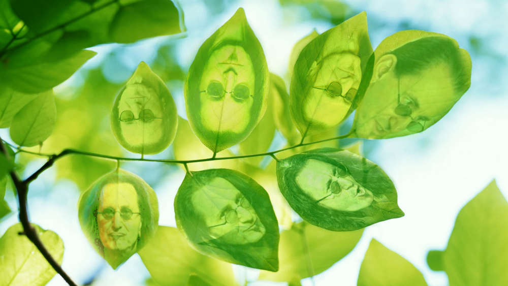 shittycelebritypuns:  geddy leaves(requested by danvinsky )