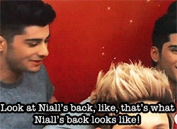 bisousniall:  zayn obsessed with niall’s waxwork figure [x] 