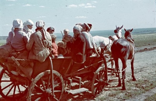 darksilenceinsuburbia:  Color Photographs of Everyday Life in Ukraine, 1942. 