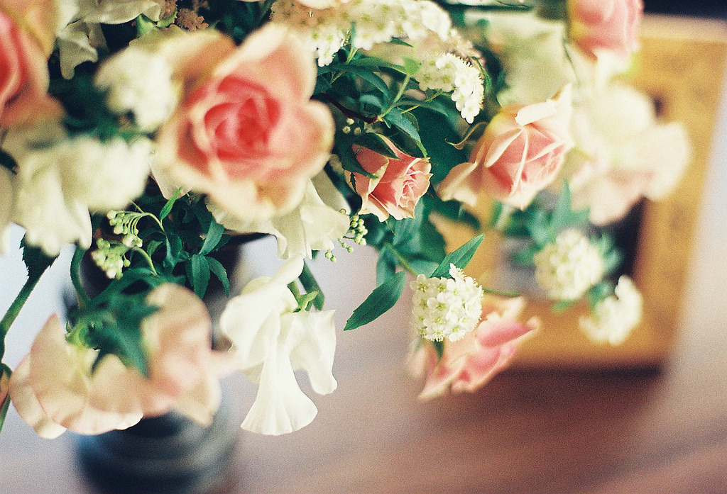 englishsnow:   **mog** 