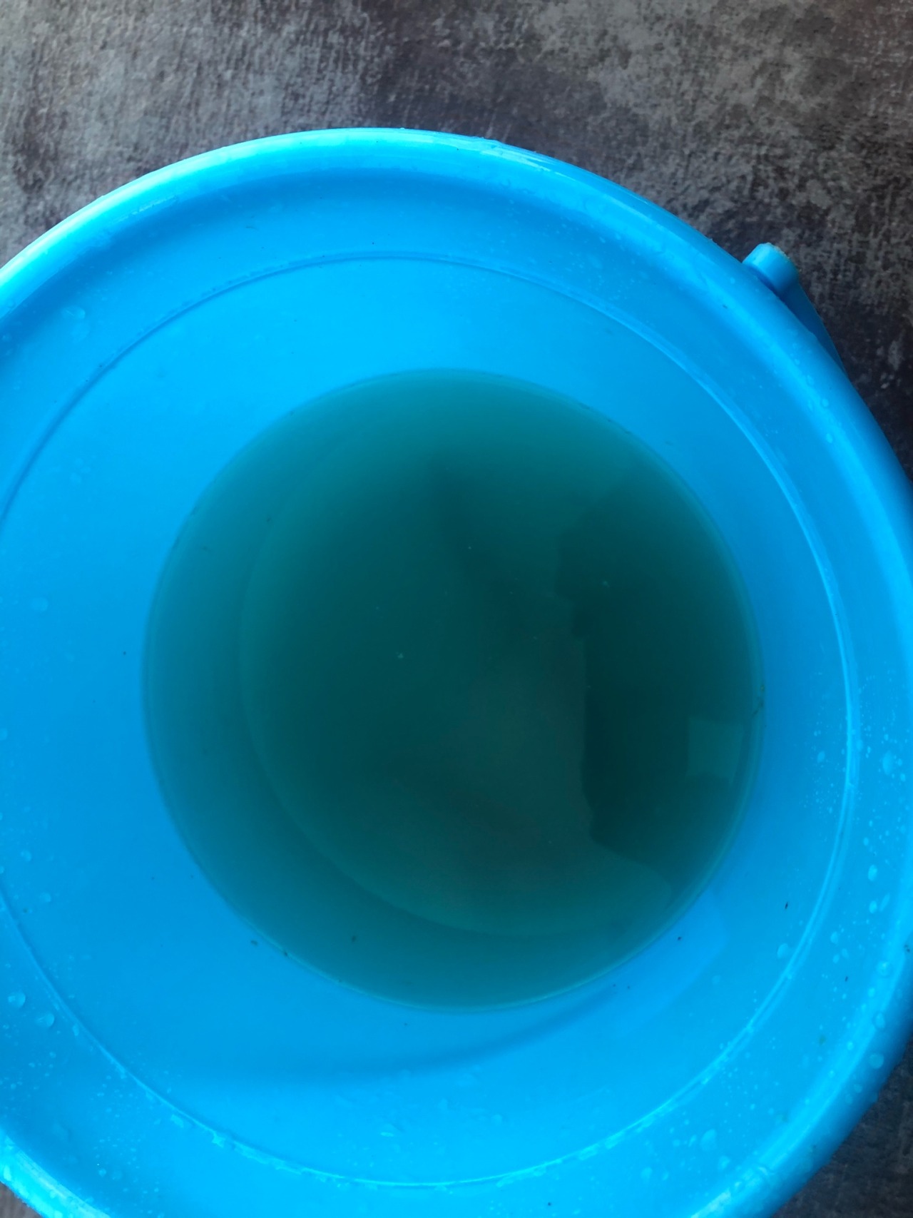 釣り ドジョウリベンジ実釣編曇天模様の空の下なんだかんだ16 30スタート気持ちと仕掛けを新たに白サシ 釣り ドジョウリベンジ実釣編曇天模様の空の下なんだかんだ16 30スタート気持ちと仕掛けを新たに白サシ