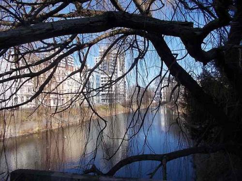 Trees and pond in Wroclaw, Poland (along Podwale St.).