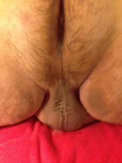 Bear Bulge