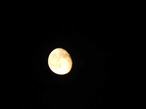sihlouettes:“Everyone is a moon, and has a dark side which he never shows to anybody.”  Mark Twain