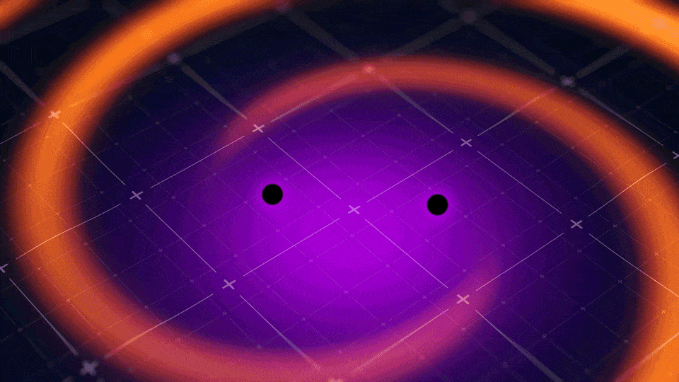 In this animation, two small black circles, representing black holes, orbit one another in a circular counter-clockwise motion. There is a square grid pattern behind them. Around each black hole, a purple haze glows, getting more transparent farther out from the black holes. The haze creates a circle about the size of the black holes’ orbits. Trailing in an arc out from each black hole, an orange hazy strip curls around the frame as the black holes’ orbits circle, like the spiral of a snail shell. The orange strips move farther from the black holes over time, and as they pass over the gridded background, the background warps so that the grid-lines under the stripes appear to bump up. Credit: NASA's Goddard Space Flight Center Conceptual Image Lab