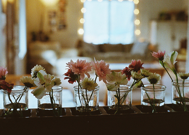 viventi:  untitled by oakmoss on Flickr. 