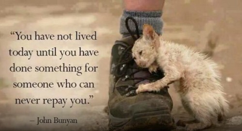 iknowalotaboutnothing: So, live. 