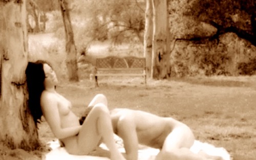 Siga Sexo-e-Nudez