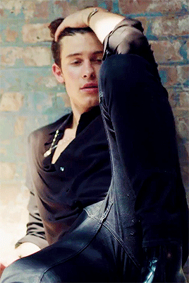 mendes-shawn:  x