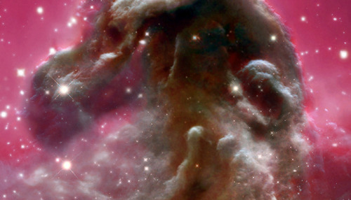 Horsehead Nebula Blue to Infrared (desktop/laptop)Click the image to download the correct size for y