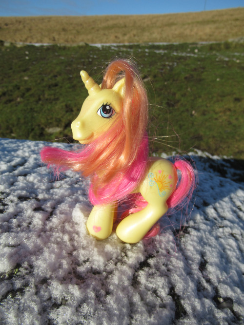 Brights Brightly has found a remaining patch of snow to pose on.On Dartmoor, in Devon, England.