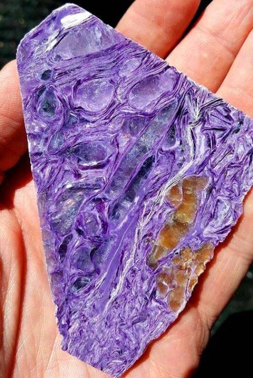 CharoiteOne of the world&rsquo;s more unusual gemstone materials is the rare mineral Charoite, named