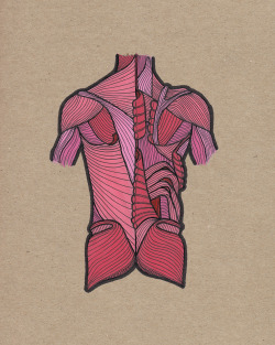 fuckyeahmedicaldiagrams:  Back Muscles by Andrea Farina Gouache &amp; ink on chipboard