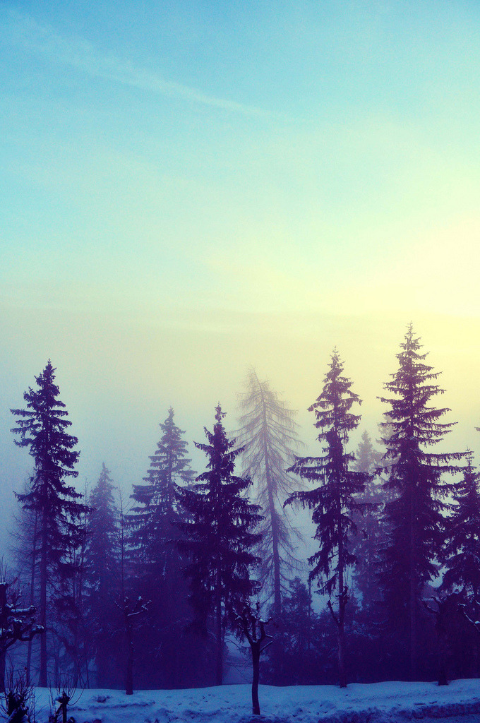 travelingcolors: Leysin | Switzerland (by cbettsphotography) 