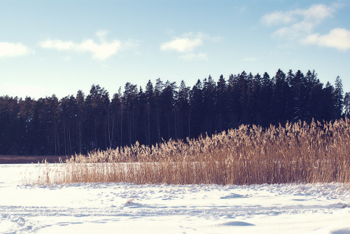 vakent: Frozen lake by jennydasdesign on Flickr.