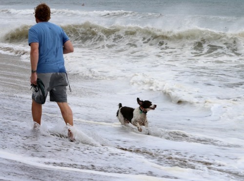 PHOTOS: Florida prepares for Hurricane DorianHurricane Dorian began inching northwestward over the B