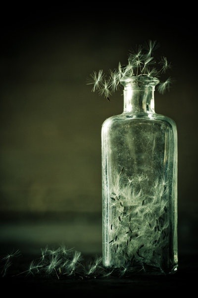 msexplorer:  Captured wishes… escaping though… 