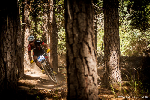 australianmountainbikemag: Shaun Lewis in the dusty forest undergrowth of Bright Victoria.www.ambmag