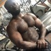 hairyarablover:Hairy, big, bearded, black and sweaty&hellip; damn 